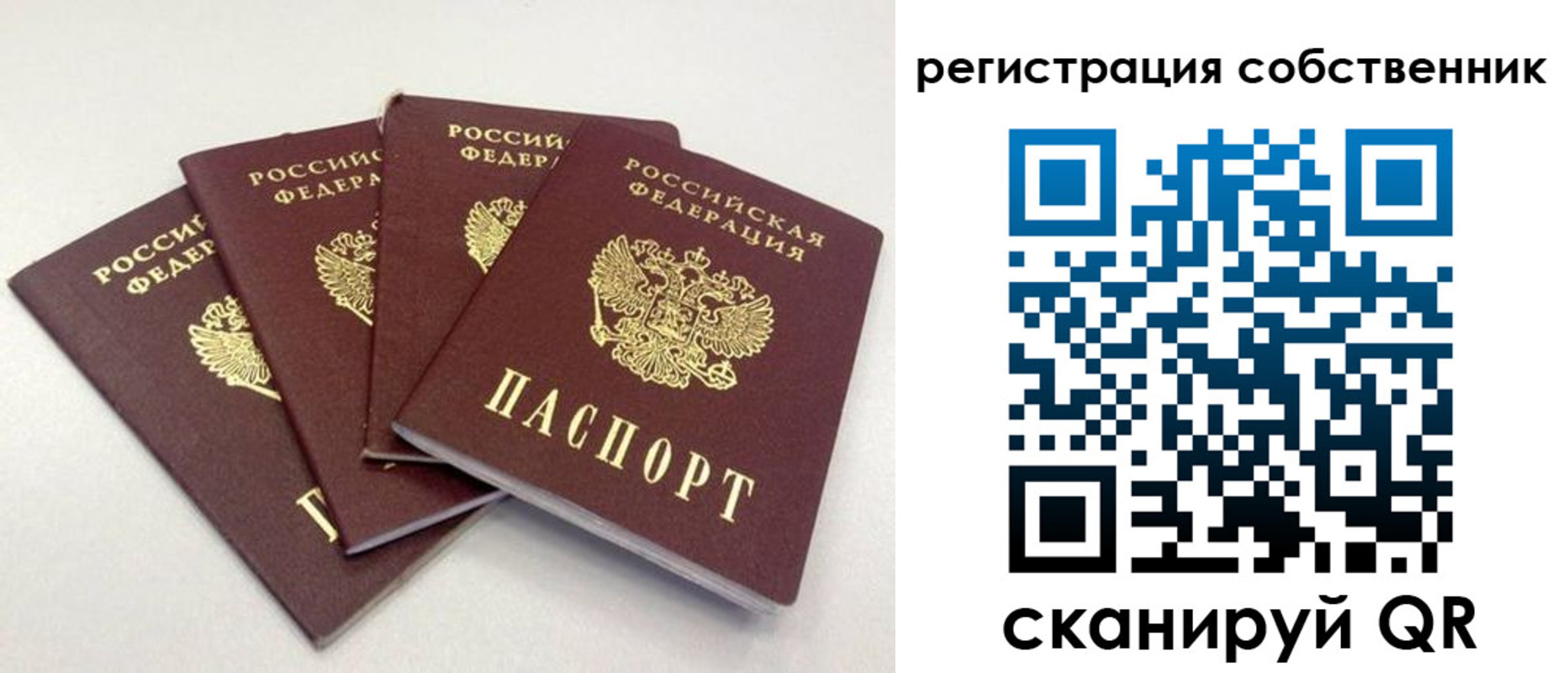 прописка для школы в Подпорожье